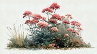 Pink flowering chrysanthemum bush with ornamental grass on transparent background, isolated botanical illustration for garden design projects.