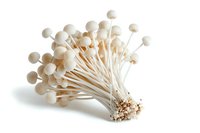 Fresh white enoki mushrooms bunch isolated on white background, raw organic Japanese fungi with long stems and small caps for Asian cuisine.