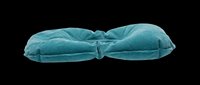 Teal blue padded neck pillow isolated on transparent background, ready for t-shirt design, clipart, stickers, and print-on-demand products.