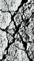 Cracked dry earth surface with deep fissures creating abstract patterns. Drought conditions showing parched soil texture for environmental concepts.
