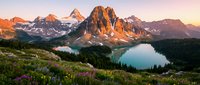 Majestic mountain peaks reflected in pristine alpine lake at golden hour sunrise with wildflowers blooming in foreground creating stunning wilderness landscape.