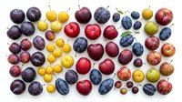 Colorful assortment of fresh plums in various sizes and hues arranged on white background. Perfect for healthy eating concepts and culinary designs.