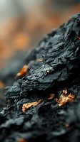 Charred wood texture with glowing embers and orange flames in background creating dramatic fire damage and burning material surface for industrial concepts.