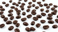 Scattered roasted coffee beans on white background isolated for cafe menu design, beverage advertising and culinary projects.