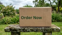 Cardboard box with Order Now text on stone surface in green garden, symbolizing online shopping, delivery, and e-commerce concepts.
