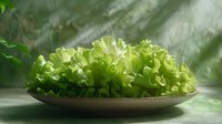Fresh green lettuce leaves arranged on ceramic plate with soft natural lighting and shadow effects creating appetizing healthy food composition.
