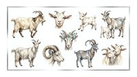 Goat breeds collection featuring various types isolated on white background, suitable for agricultural education, farming design projects, livestock illustration, veterinary materials, and animal husbandry resources.