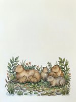 Watercolor capybara family resting among lush greenery and wildflowers near a pond, charming nature art for cards, prints, and nursery decor.
