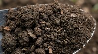 Close-up of rich, dark soil on a shovel, showing texture and composition for gardening, agriculture, and landscaping projects.