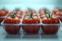 Fresh ripe tomatoes with water drops in plastic container packaging, selective focus on front row. Natural organic produce ready for retail sale.