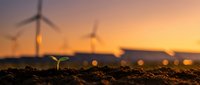 Small green plant seedling growing from soil with wind turbines and solar panels in blurred background during golden hour sunset, symbolizing renewable energy growth.