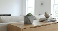 Modern minimalist living room interior with wooden coffee table, succulent plant in concrete planter, decorative bird figurine and books in bright natural light.