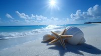 Starfish and seashells on pristine white sand beach with turquoise ocean waves under bright sunny sky. Perfect tropical paradise vacation destination concept.