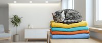 Tabby cat resting on stack of folded colorful sweaters and knits in modern home interior with natural light and minimalist decor.