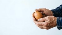 Farmer or agricultural worker with weathered hands holding a fresh brown egg against white background, suitable for farming, agriculture, organic food, and sustainability content.