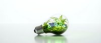 Green energy concept with miniature ecosystem inside light bulb featuring small house, trees and ferns on white background for eco-friendly design projects.