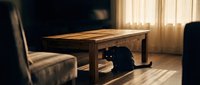 Cozy living room interior with wooden coffee table and black cat resting underneath in warm sunlight streaming through window curtains.