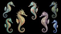 Seahorse collection featuring seven detailed marine creatures in various colors including turquoise, gold, purple, and blue, isolated on transparent background and ready for clipart, t-shirt design, stickers, sublimation, and print-on-demand projects.