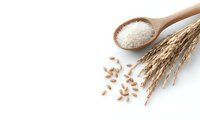 Wooden spoon filled with white rice grains next to wheat ears and scattered rice on white background, copy space for text on right side.
