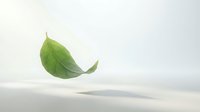 Green leaf floating on white background, isolated botanical element suitable for eco-friendly design, wellness branding, and environmental graphics.