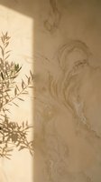 Textured plaster wall with organic swirl patterns and plant shadow cast by natural sunlight, creating warm neutral tones suitable for interior design, home decor, and architectural backgrounds.