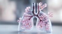 Anatomical glass lungs with delicate pink cherry blossom branches growing inside, representing breath and nature on soft blurred background, medical art concept.