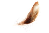 Brown and beige feather with scattered particles on white background, isolated object for creative design projects and decorative compositions.