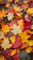 Colorful fallen maple leaves in red, yellow, and orange hues create natural autumn background pattern. Seasonal foliage on dark ground.