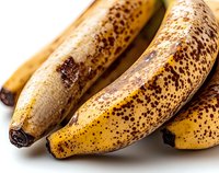 Ripe spotted bananas with brown speckles on yellow peel shown in close up macro view on white background, fresh organic fruit ready for baking or smoothies.