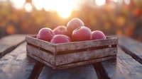 Fresh ripe peaches in rustic wooden crate at sunset with golden bokeh background, farm harvest concept for healthy organic produce and agriculture.