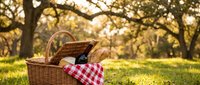 Wicker picnic basket with red checkered cloth and food items on green grass under golden sunlight filtering through tree branches in peaceful park setting.