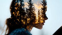 Double exposure silhouette profile blending with sunset forest landscape, pine trees and golden sky. Artistic photography concept for meditation and nature connection.