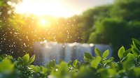 Fresh green leaves in morning sunlight with water drops and bokeh effect create magical natural atmosphere. Soft focus spring or summer background.