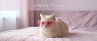 Cute cream cat wearing pink heart-shaped sunglasses lying on a pink bed in a cozy pastel room, funny pet portrait with stylish accessories.