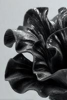 Dramatic black and white macro of organic wavy forms with glossy texture and curved edges against neutral background.