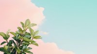 Young green leaves against pastel pink and blue sky background, fresh spring foliage reaching upward in minimalist composition, natural botanical design element.