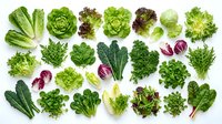 Fresh leafy greens collection featuring lettuce varieties, kale, spinach and herbs isolated on white background for healthy cooking and nutrition.
