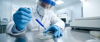 Laboratory scientist in protective equipment conducting microbiological research with petri dish and inoculation loop in sterile medical facility.