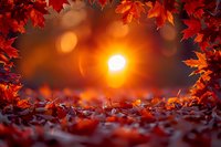 Vibrant red maple leaves frame glowing sunset through autumn foliage, creating magical bokeh effect with fallen leaves scattered on ground in warm orange light.