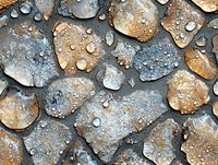 Fallen autumn leaves covered with morning dew drops and frost create natural pattern in brown and gray tones. Close up macro photography shows water beads.