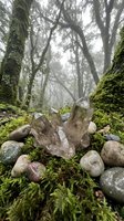 Mystical crystal cluster with healing stones arranged on moss in enchanted foggy forest for spiritual meditation and energy healing practices.