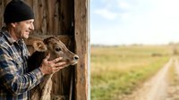 Mature male farmer of Caucasian ethnicity holding two brown dogs while standing in wooden barn doorway overlooking rural agricultural field and dirt road during daytime.