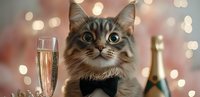 Elegant cat wearing black bow tie poses with champagne glass and bottle against festive bokeh lights background for celebration and holiday themes.