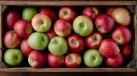 Fresh red and green apples in rustic wooden crate, overhead view showing ripe fruit texture and natural color variation, suitable for healthy eating concepts.