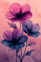 Watercolor anemone flowers in purple and pink gradient tones on soft pastel background for spring botanical design projects.