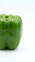 Fresh green bell pepper isolated on white background, suitable for food, nutrition, cooking, and healthy eating design projects.