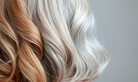 Close-up of wavy blonde and platinum hair with soft gradient from warm honey to icy silver tones showing professional coloring technique and styling results.