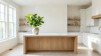 Modern kitchen with wooden island and fresh green plant in ceramic vase, bright natural light from windows, white cabinetry and shelving, contemporary home interior design.
