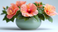 Delicate coral hibiscus flowers arranged in mint green ceramic bowl against soft background, featuring lush green foliage and vibrant tropical blooms.