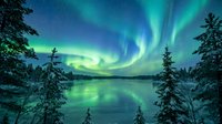 Spectacular northern lights aurora borealis dancing over frozen lake with snow-covered spruce trees reflecting green and blue colors in winter landscape.